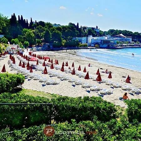 Darko * Split