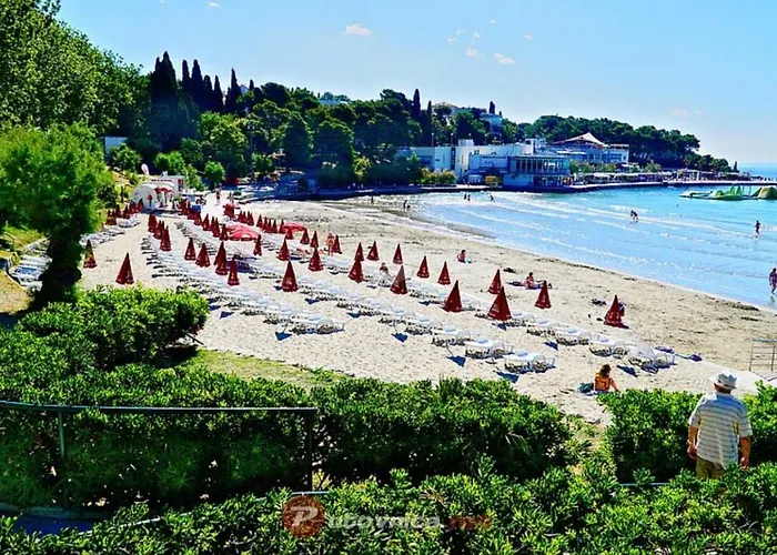 Darko * Split